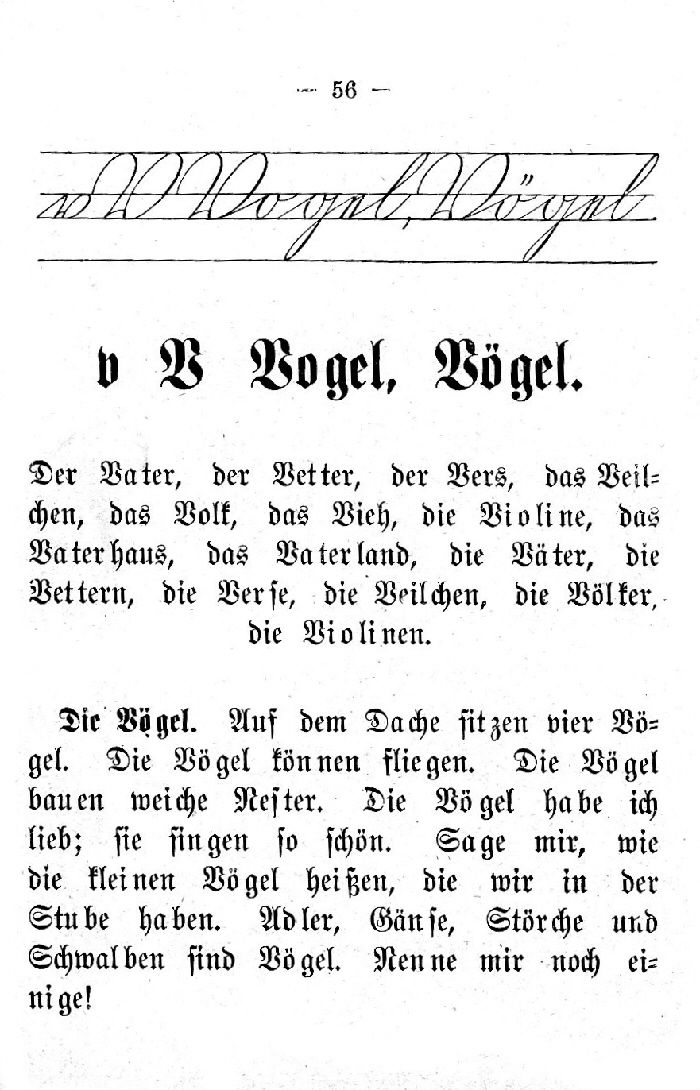 Deutsche Fibel -V (Schreibschrift /Druckschrift)