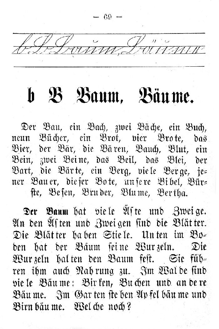 Deutsche Fibel -B (Schreibschrift /Druckschrift)