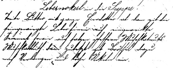 Rezept 'Lebernockerl in die Suppe'